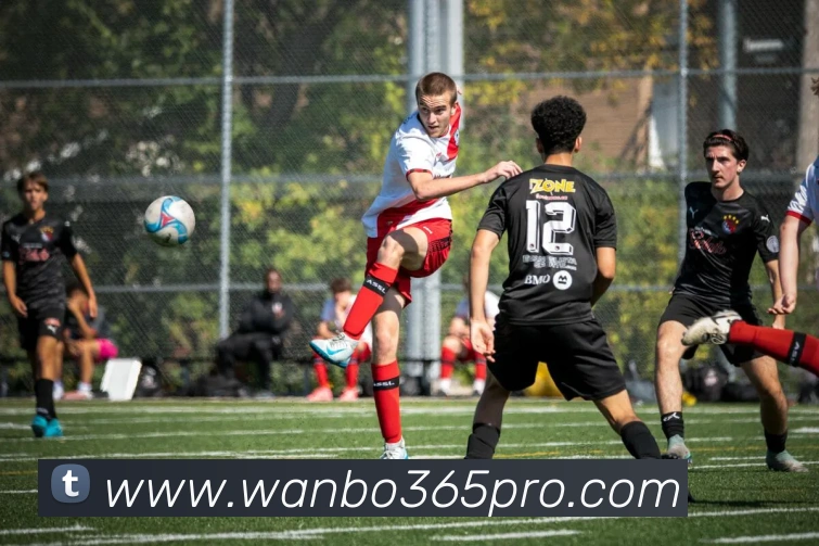 多媒体互动体验