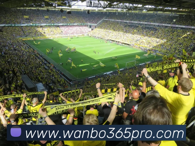 万博体育APP 体育赛事宣传图